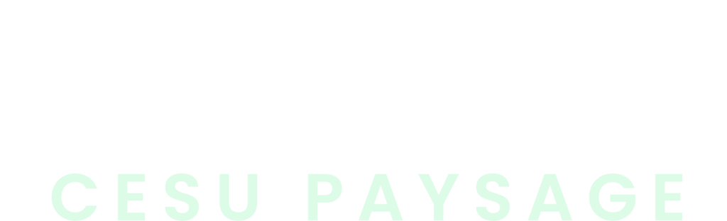 logo footer valentin cesu paysage (1)