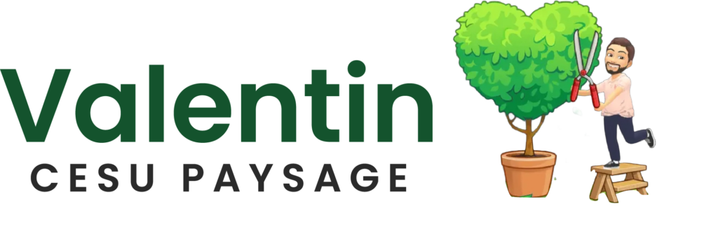 logo valentin cesu paysage (1)