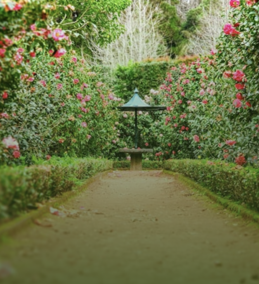 aménagement paysager valentin paysagiste pornic