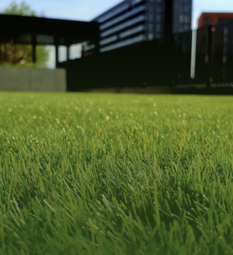 création de jardins valentin paysagoste moutier en retz pornic